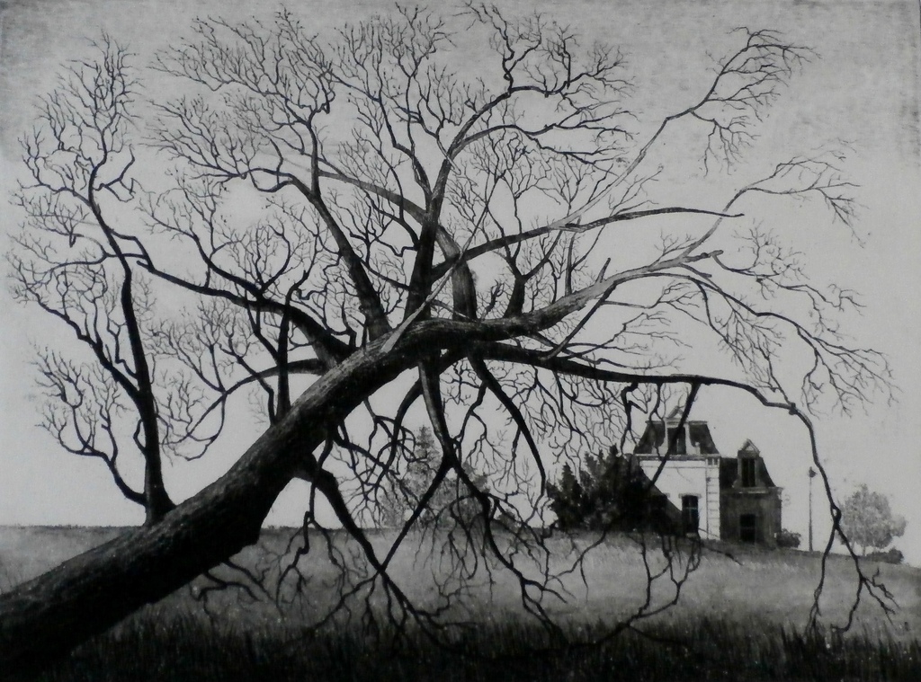 Wim Bettenhausen - ets: Huis bij waterpartij - 1980 verkocht voor € 80!