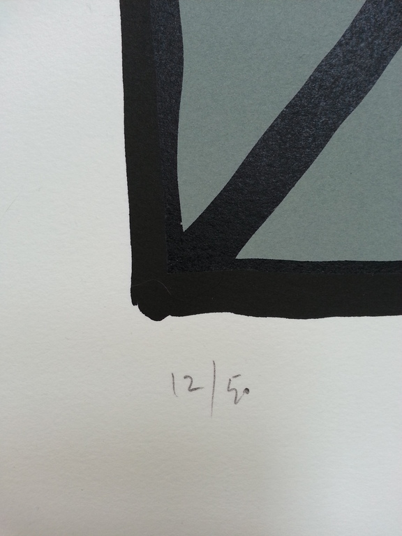 kunstenaar onbekend, wel gesigneerd, zeefdruk op papier, titel;  kopen? Bied vanaf 20!