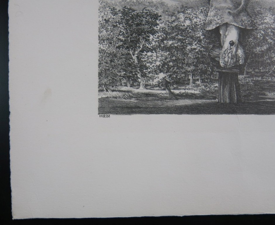 Peter Vos: Litho, Inrim kopen? Bied vanaf 70!