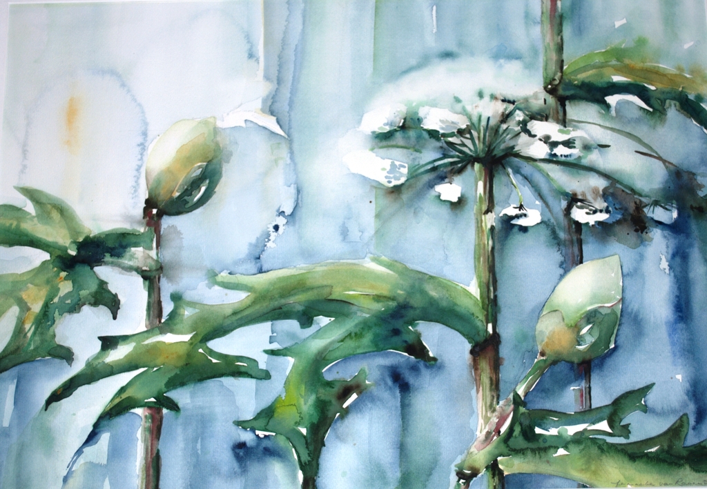 AQUAREL -- 50X70 CM -- FRAAI INGELIJST kopen? Bied vanaf 29!