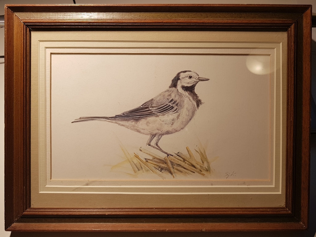 Sjoerd Kuperus, vogel, gouache verkocht voor € 100!