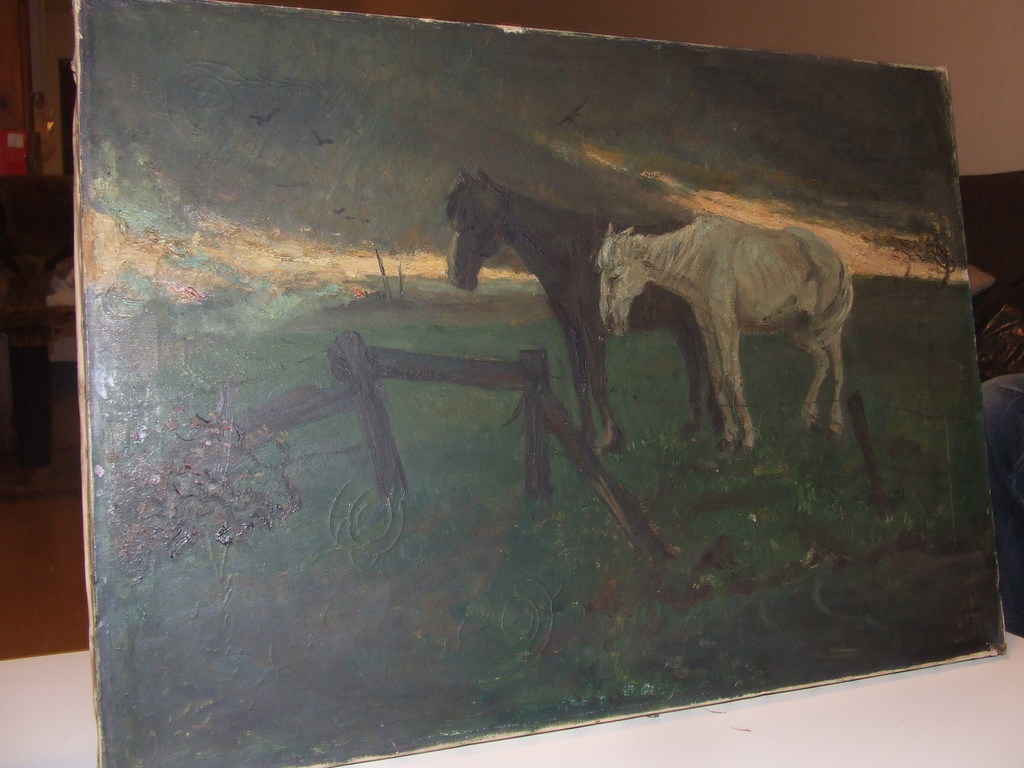 Max Nauta 2 paarden kopen? Bied vanaf 175!