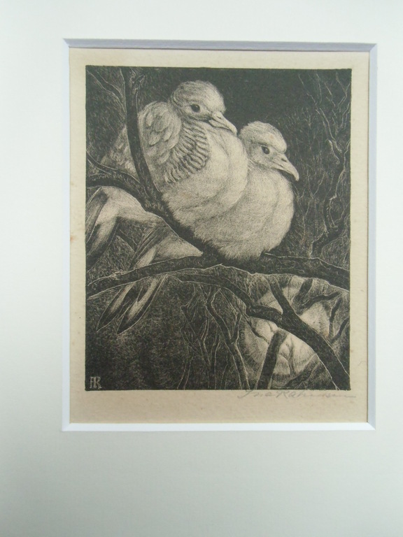 GESTREEPTE DUIFJES   ///   LITHO VAN INA RAHUSEN kopen? Bied vanaf 30!