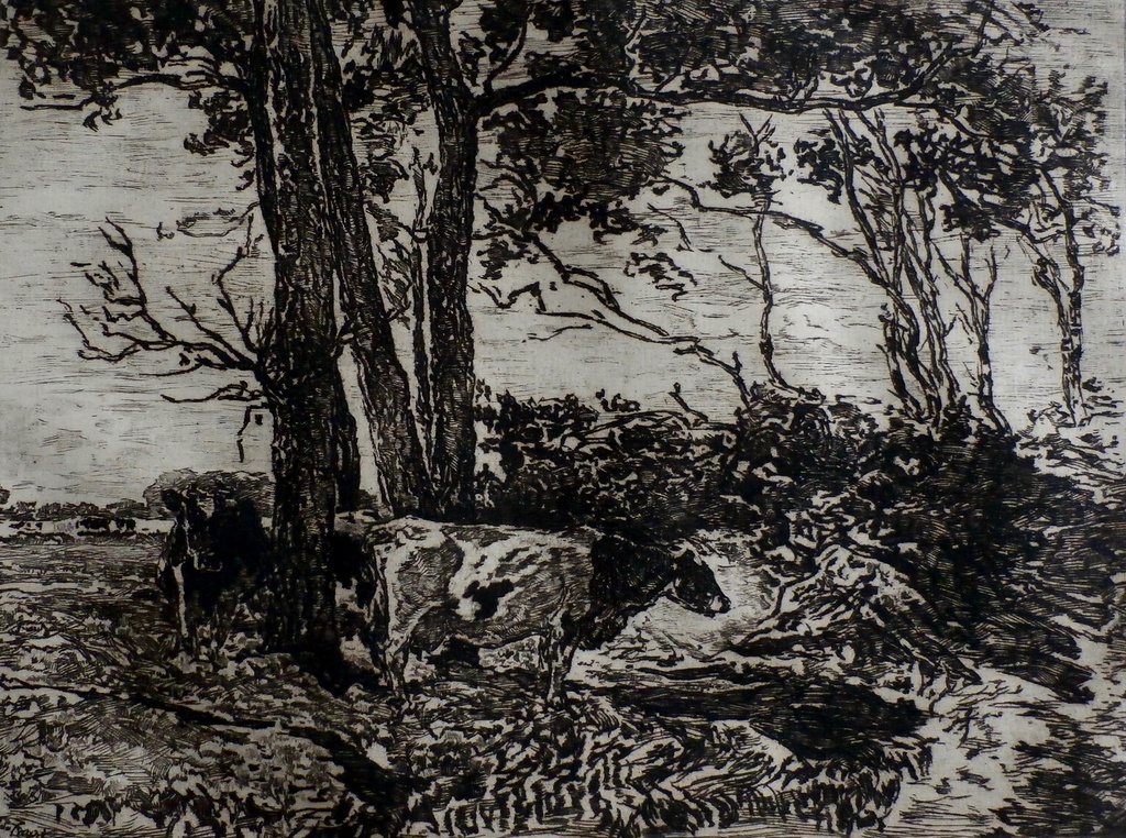 Willem de Zwart - grote ets: Koeien in landschap  kopen? Bied vanaf 40!