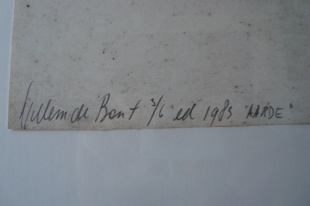 willem de bont kleurenets  kopen? Bied vanaf 50!