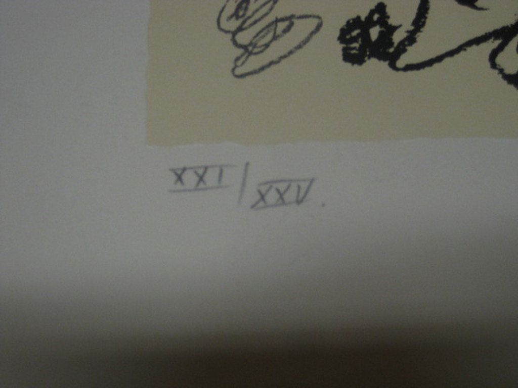 Kees Salentijn (1947-)litho "Hollands landschap" kleine oplage!! 21/25 gesignee  kopen? Bied vanaf 1!