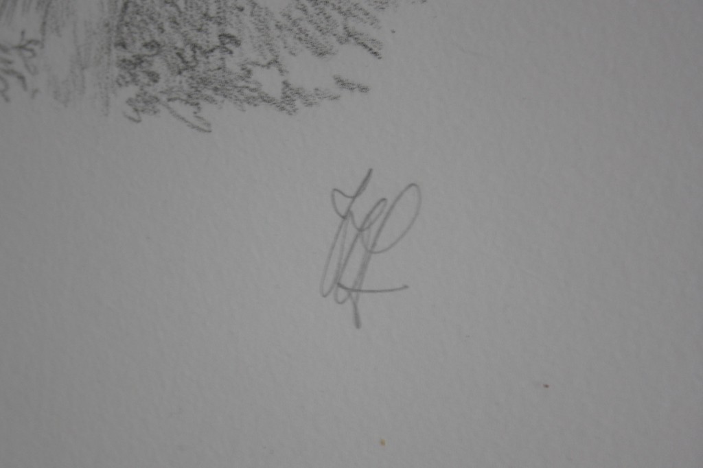 Peter Vos grote litho uit 1969. kopen? Bied vanaf 70!