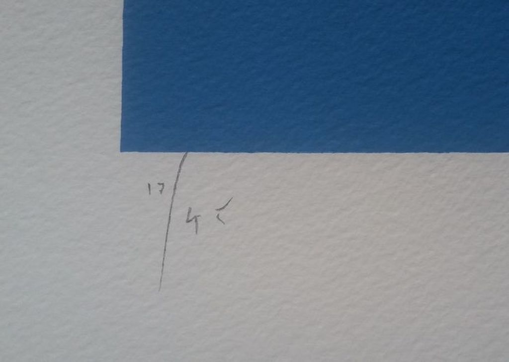 Hayden Kays - Tweeluik - Vote (blue&red edition) - handgesigneerde zeefdruk kopen? Bied vanaf 145!