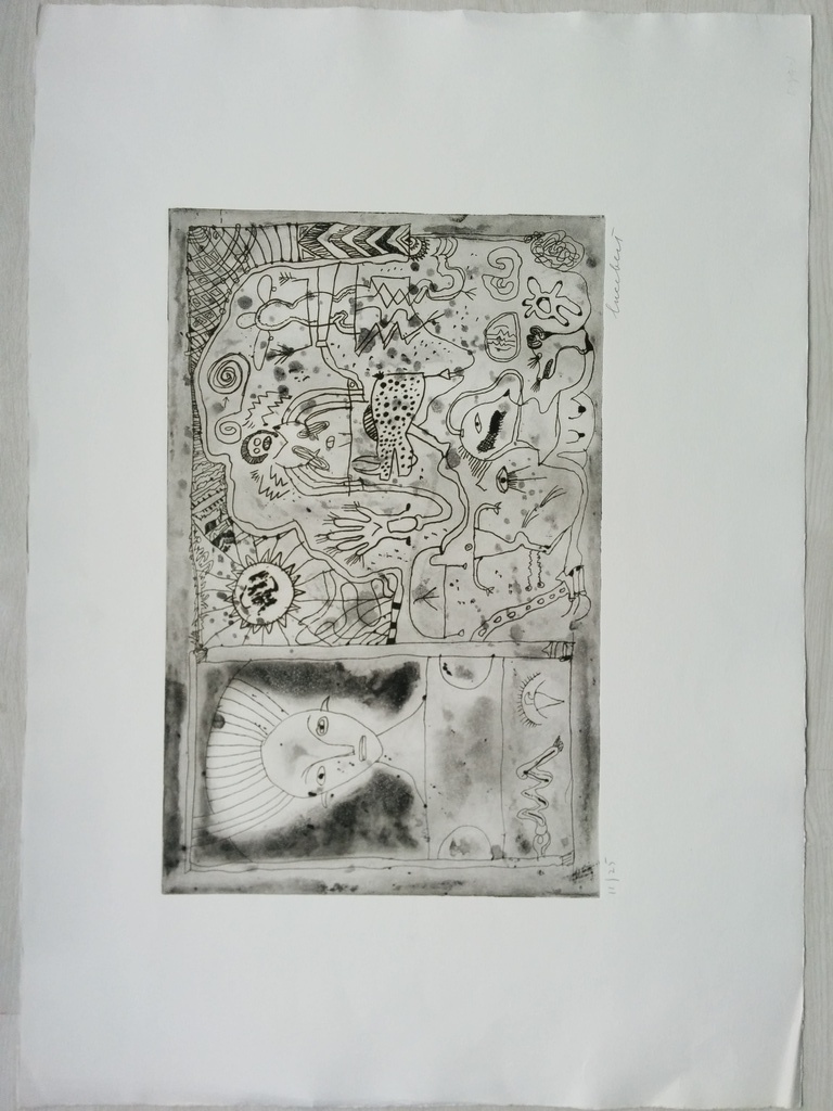 Ets uit 1979, groot formaat, handgesigneerd nummer 11/25, zeer zeldzaam, CobrA kopen? Bied vanaf 350!