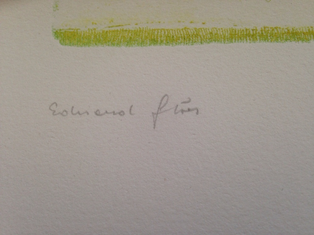 Eduard Flor: grafiek, le printemps 170/190 kopen? Bied vanaf 15!