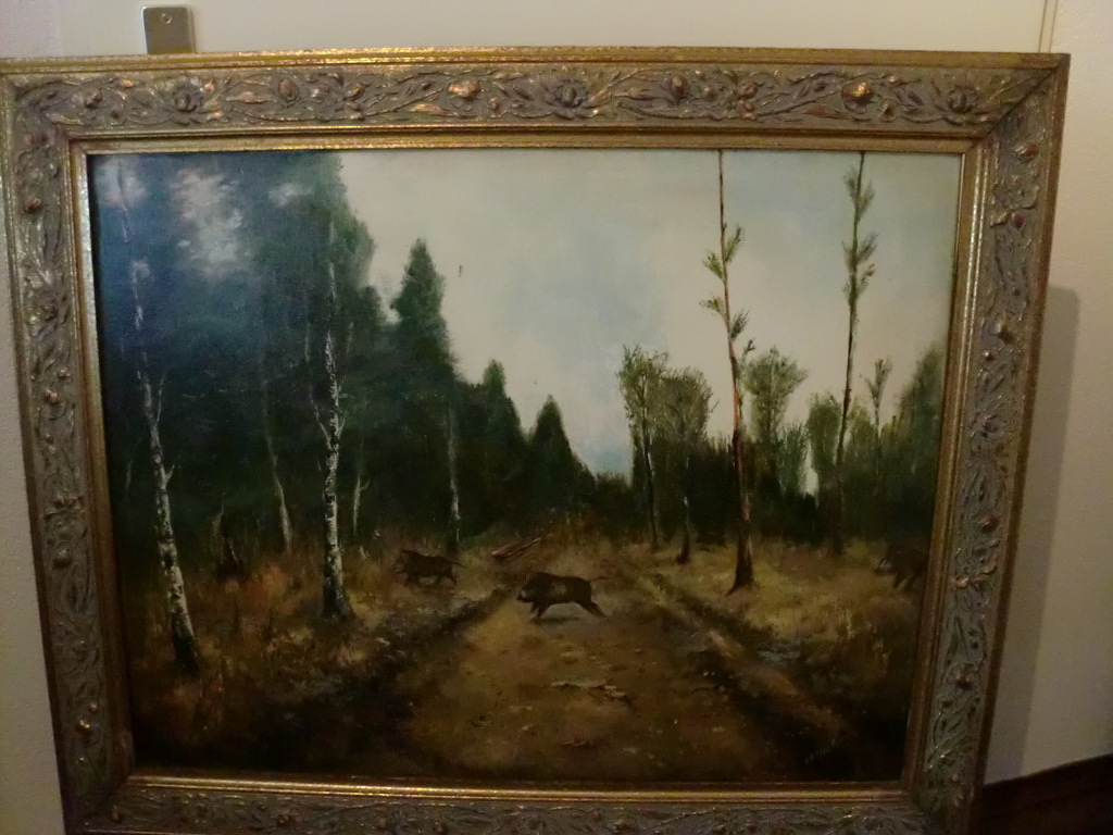 Wilde Zwijnen op de Veluwe kopen? Bied vanaf 40!