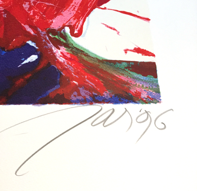 JAS - Darwin - Gesigneerde zeefdruk - 1996 kopen? Bied vanaf 45!