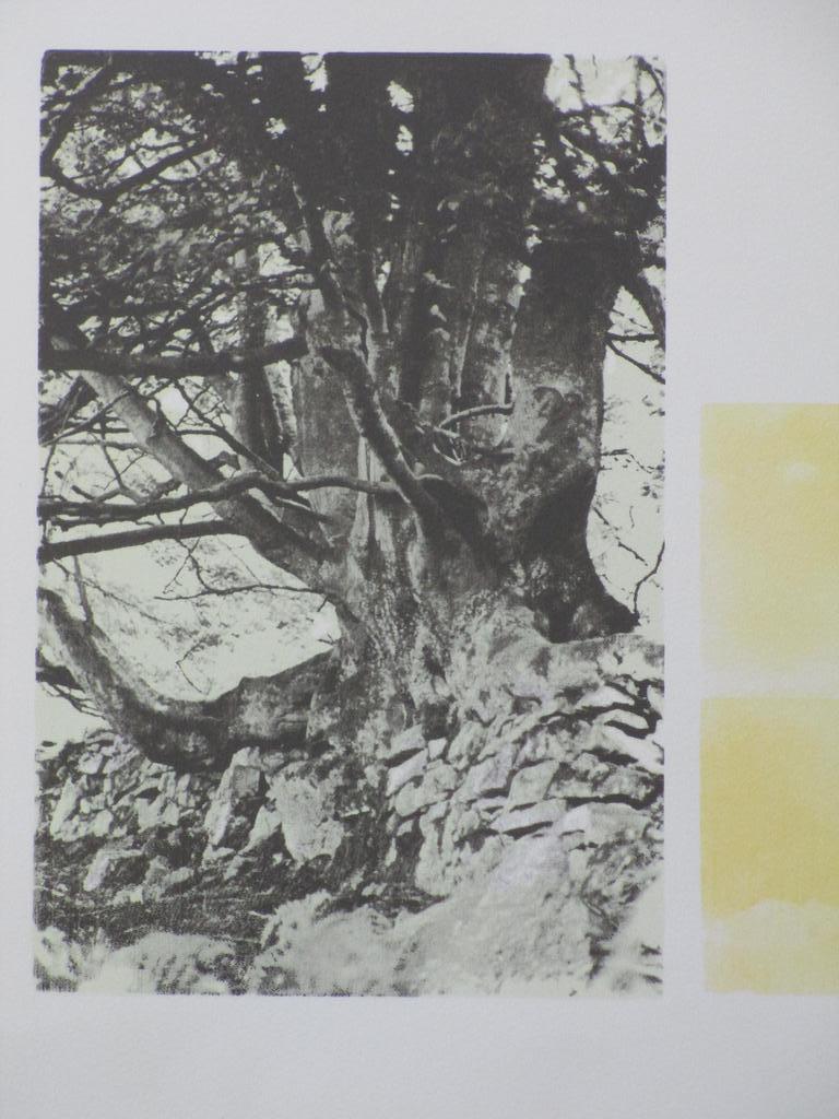 Marian Plug, Zeefdruk, Zomer kopen? Bied vanaf 15!