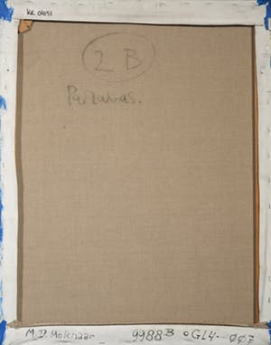 Michiel Molenaar - Michiel Paravas: Acryl op doek, Zonder titel kopen? Bied vanaf 50!