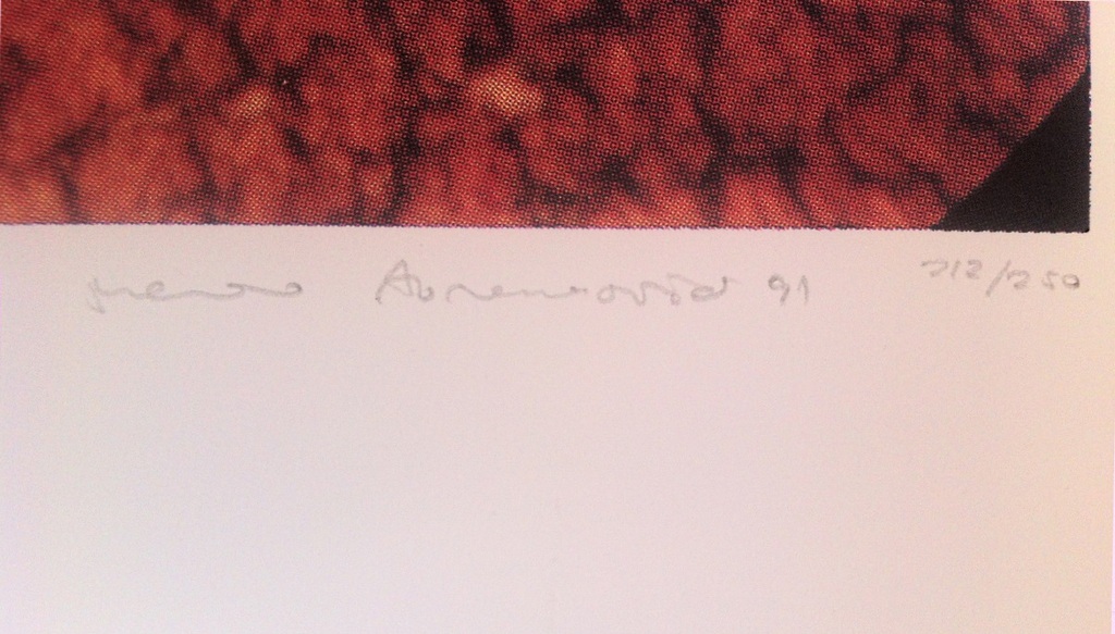 Marina Abramovic, zeefdruk, z.t. kopen? Bied vanaf 40!