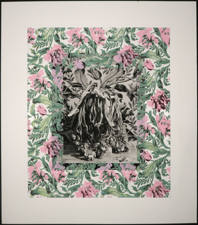 Geer Pouls: Foto, Parrot Tulpen kopen? Bied vanaf 20!