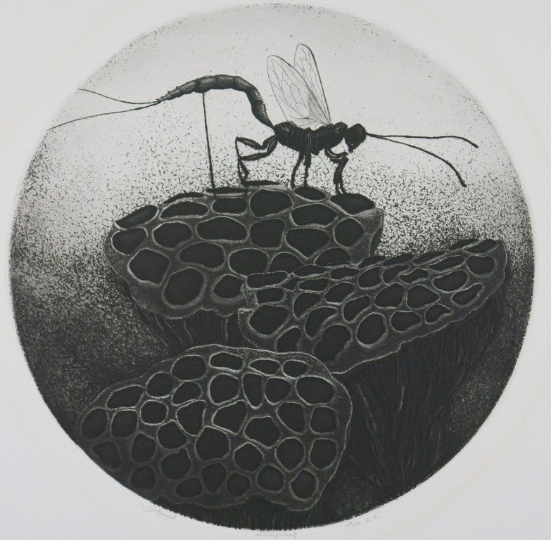 Gerard van Rooy: Ets en Aquatint, Sluipwesp verkocht voor € 40!