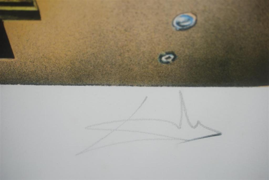 Salvador Dali - DALI SALVADOR MOOIE LITHO "LEDA ET L'OIE" kopen? Bied vanaf 350!