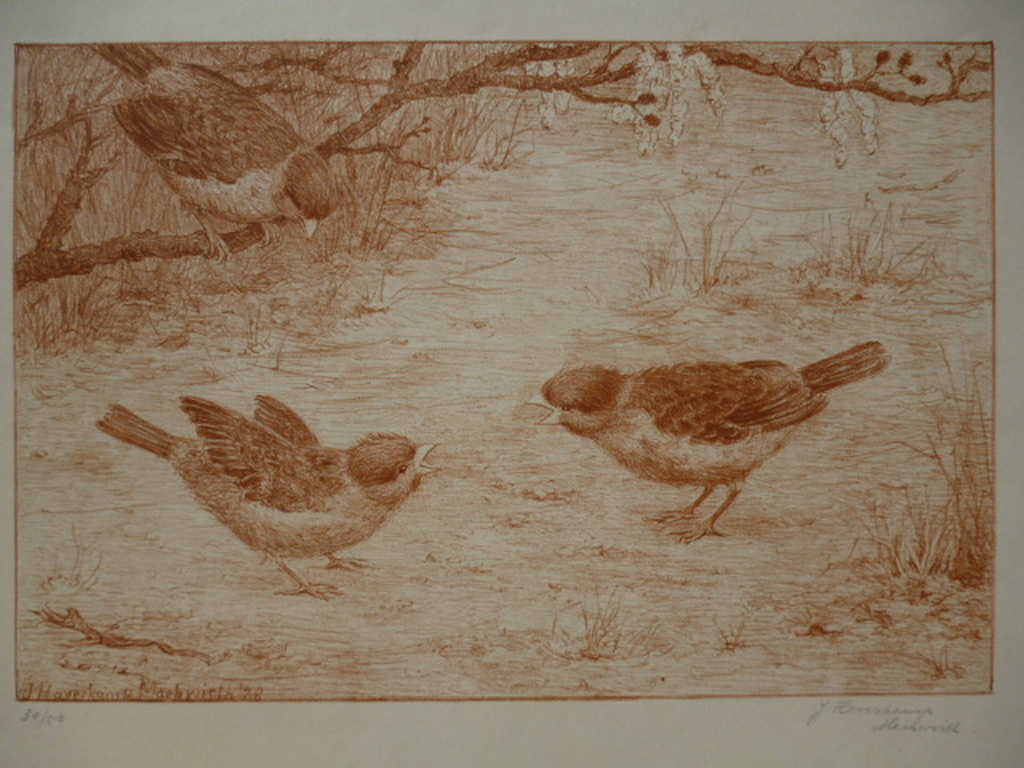 Johanna Haverkamp-Machwirth - litho - Drie mussen kopen? Bied vanaf 35!