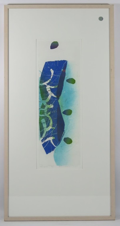Hans Vredegoor, kleurenets/aquatint: Hemisphere - ingelijst verkocht voor € 50!