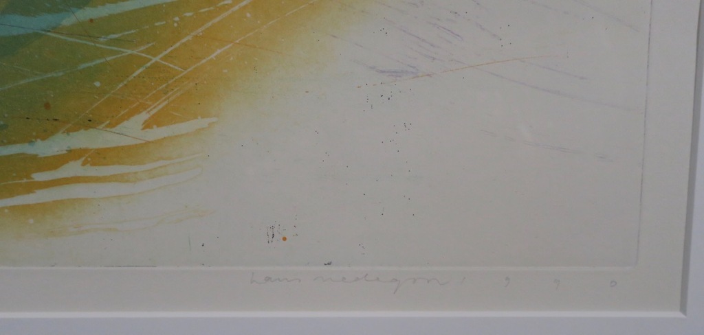 Hans Vredegoor: Ets en Aquatint, Entangled - Ingelijst kopen? Bied vanaf 40!