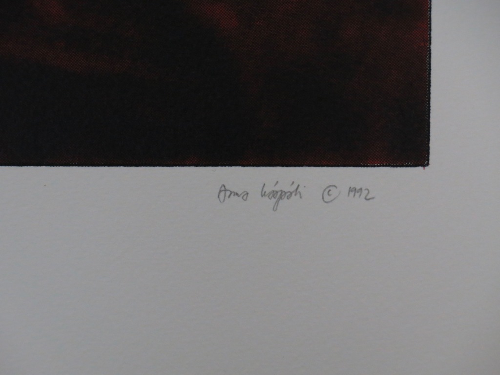 Onbekend gesigneerd: Zeefdruk, The cat has run, the blackbird has flown kopen? Bied vanaf 1!