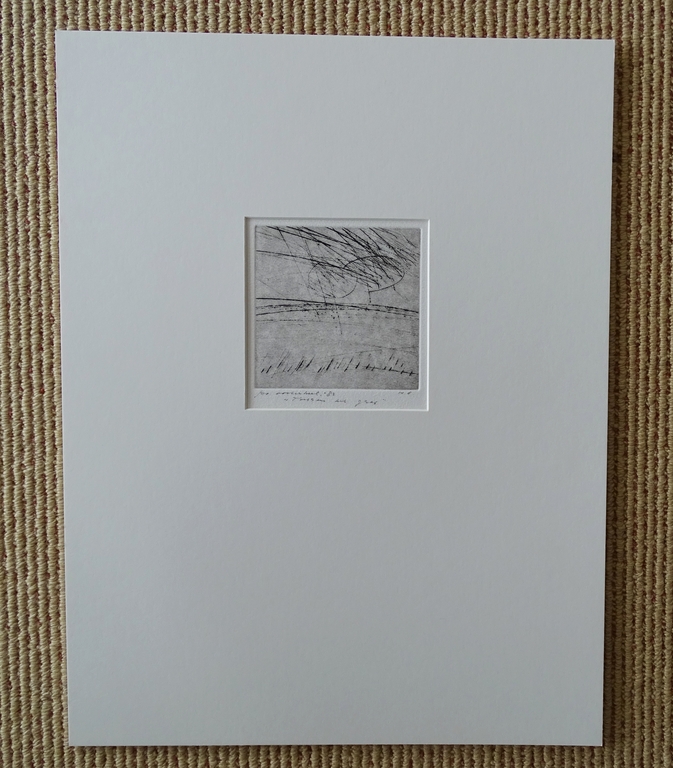 Ko Oosterkerk, Tussen het gras, ets,1983 kopen? Bied vanaf 1!