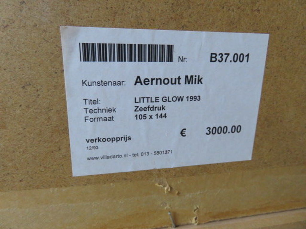 Aernout Mik  gesigneerde zeefdruk oplage 30 ex.     13/30 kopen? Bied vanaf 200!