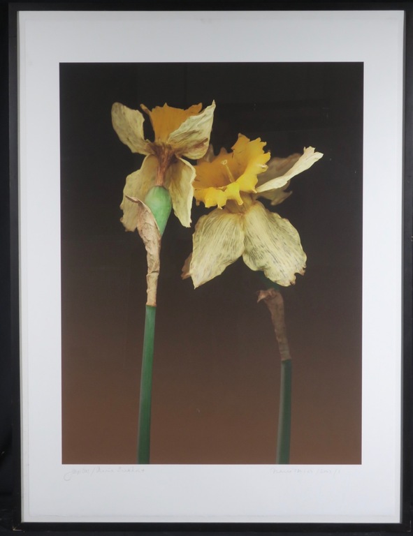 Joop Vos en Maria Berkhout: Giclee, Narcissen - Ingelijst (Groot) kopen? Bied vanaf 80!