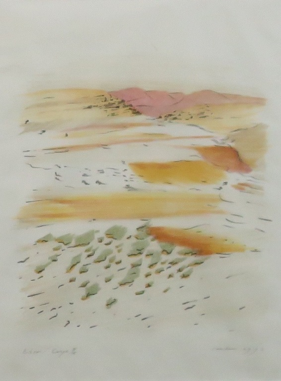 Jan Hein van Rooy: Litho 2 luik : Paisajo reencontrado - Ingelijst kopen? Bied vanaf 35!