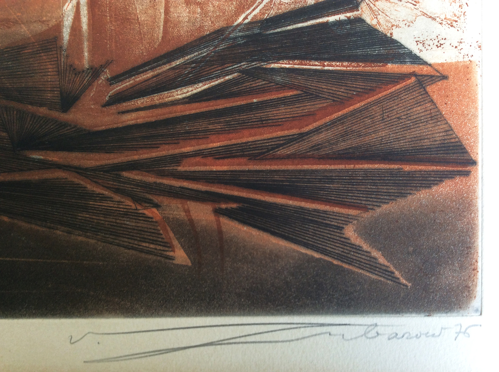 Renée Lubarow: kleurenets met reliefdruk, Les Larmes de la terre, ZZETS kopen? Bied vanaf 69!