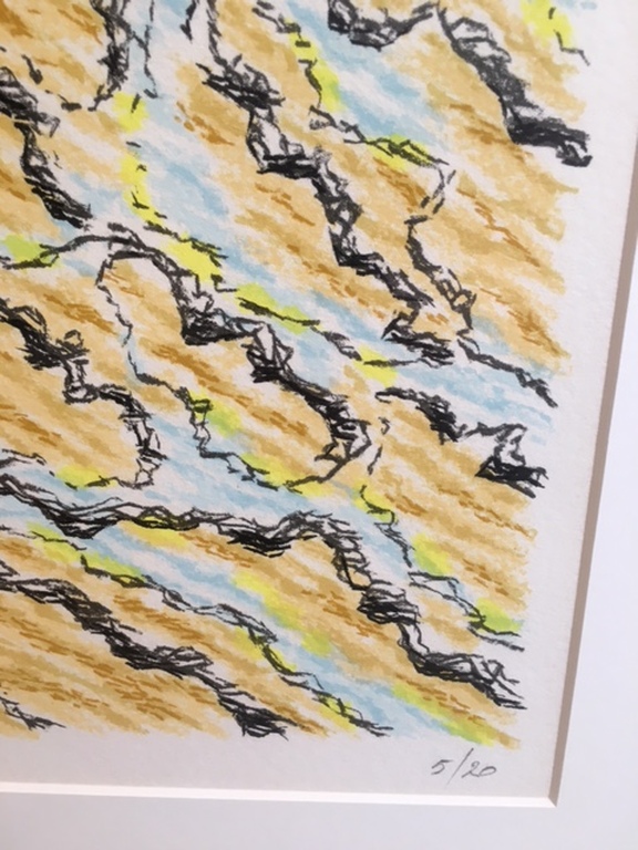 Carmi Butteling, Kleurenzeefdruk "Water" 5/20 kopen? Bied vanaf 95!