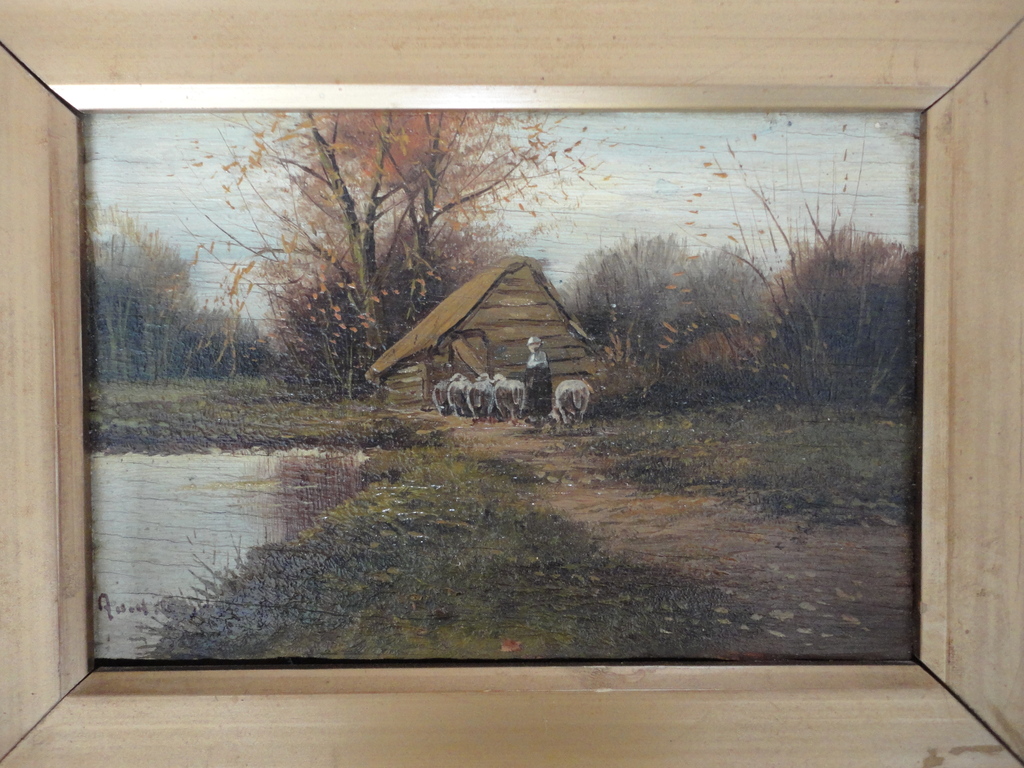 schapenkooi kopen? Bied vanaf 25!