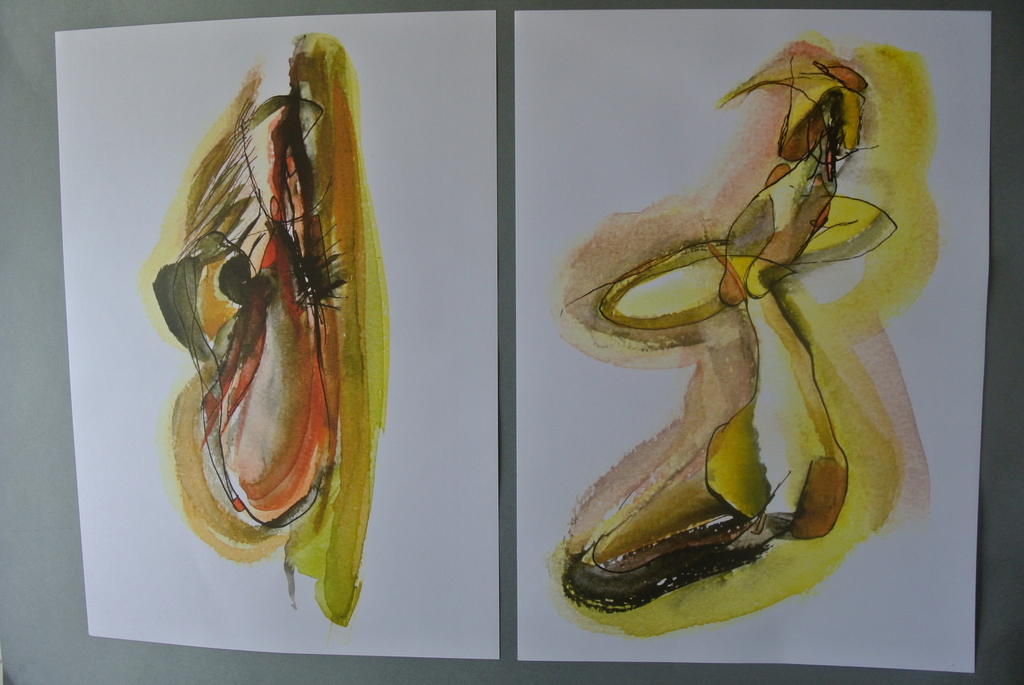 CHRIS van HARSKAMP. -26 prachtige kleurenlitho’s in luxe map- kopen? Bied vanaf 79!