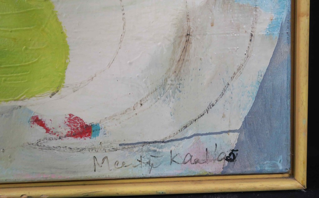 Meertje Kaal: Olieverf op doek, Ver gezicht - Ingelijst (groot) kopen? Bied vanaf 50!