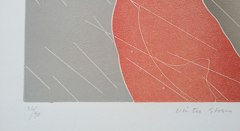 Thom de Jong - Winterstorm, aquatint ets kopen? Bied vanaf 40!