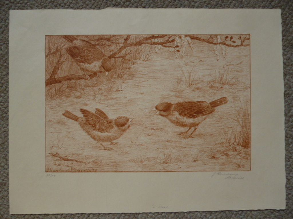Johanna Haverkamp-Machwirth - litho - Drie mussen kopen? Bied vanaf 35!