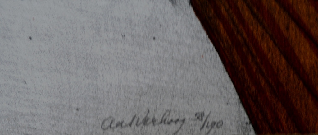 Aat Verhoog, Kleurenlitho, handgesigneerd en genummerd kopen? Bied vanaf 50!