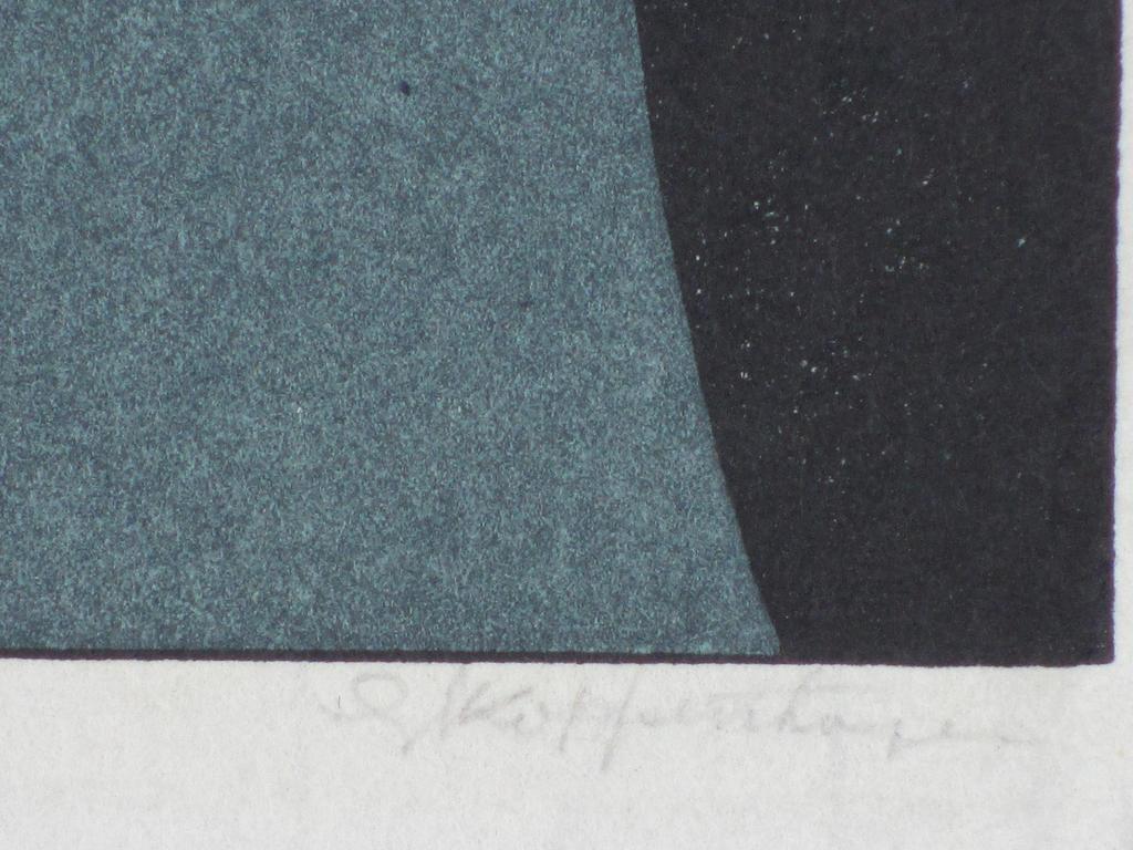 Gijs Koppenhagen, Het donkere fond, Kleurenhoutsnede kopen? Bied vanaf 35!