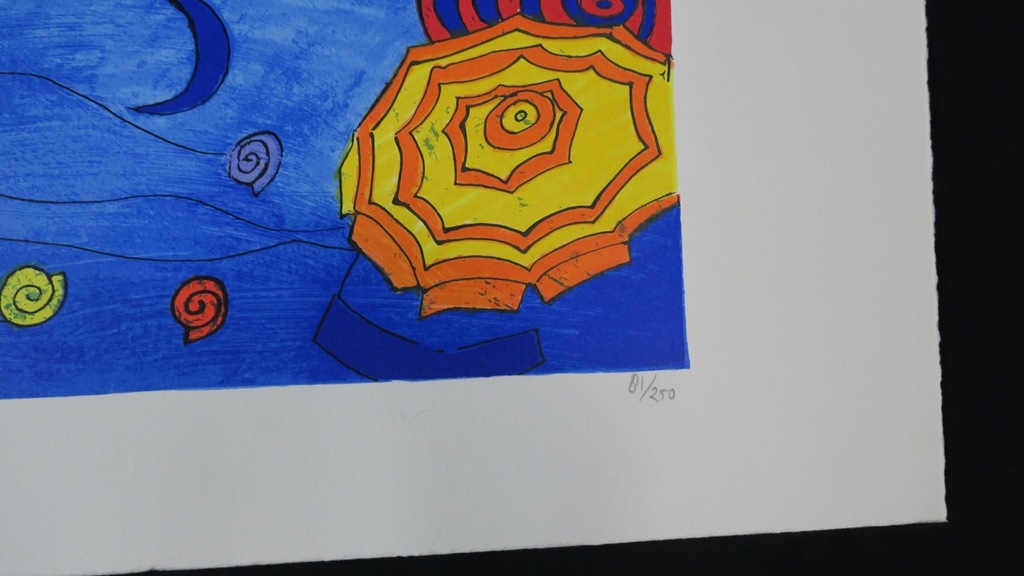 Susan Schildkamp: Zeefdruk, Schaduw/licht kopen? Bied vanaf 1!