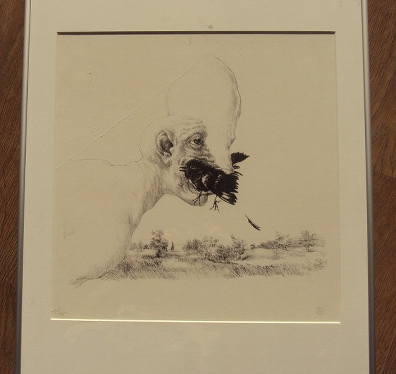 Peter Vos, Litho, reus met vogel. verkocht voor € 45!