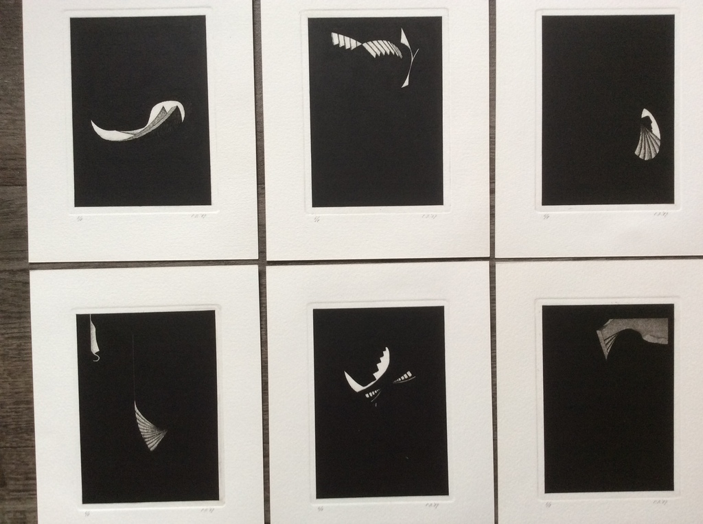 Pieter Bijwaard - Lichtvlekken - box met 10 gesign.etsen, oplage 6/8, 1987 kopen? Bied vanaf 50!