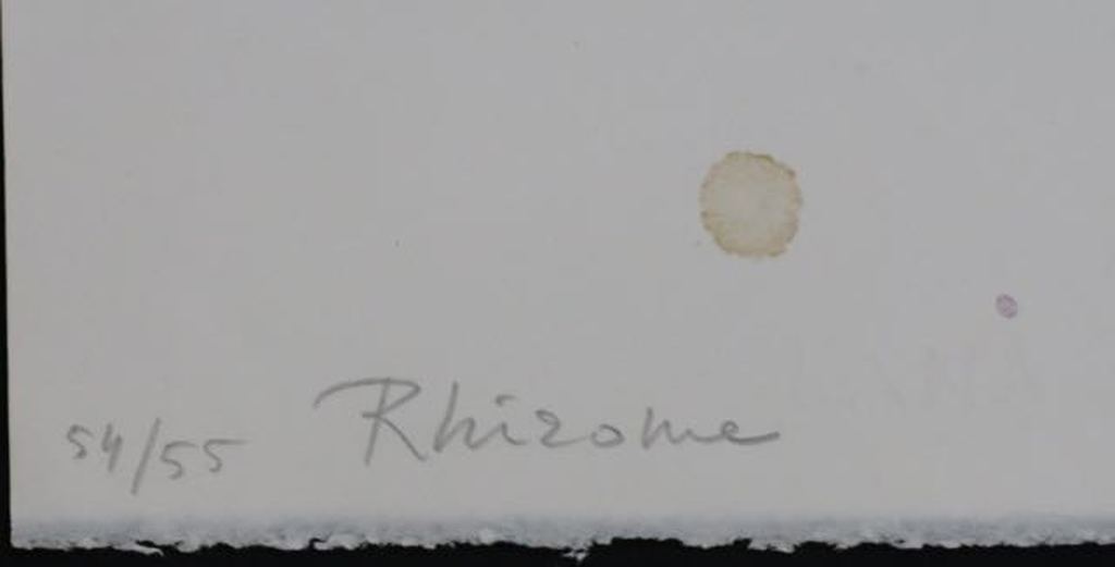 Sjoerd Buisman: Litho, Rhizome kopen? Bied vanaf 25!