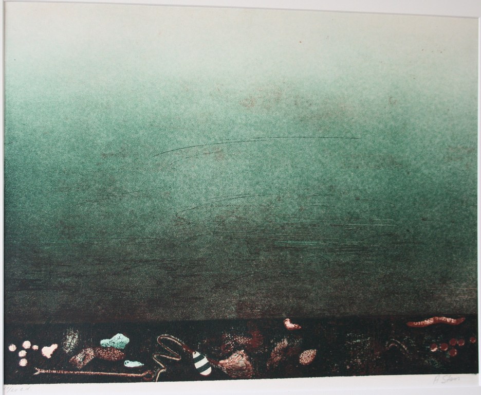 Arthur Stam, gekleurde ets 'viswater' verkocht voor € 36!