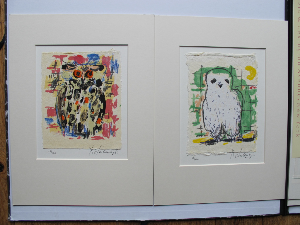 Kees Salentijn, zeefdrukken: uiltjes verkocht voor € 160!