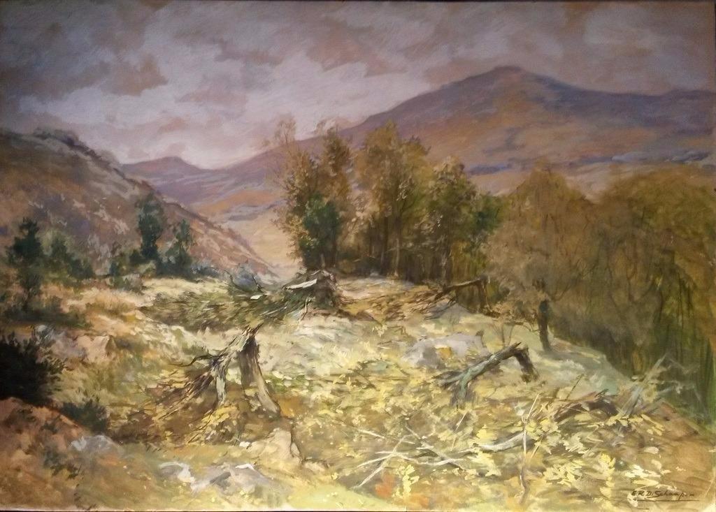 E.R.D. Schaap (1862-1939) - berglandschap - gemengde techniek op papier kopen? Bied vanaf 80!