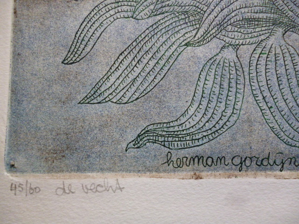 Herman Gordijn - kleurenets - de Vecht kopen? Bied vanaf 200!