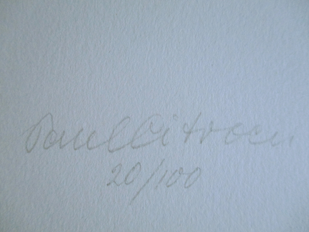 Paul Citroen, litho, Mart Kempers, 1976, perfecte staat kopen? Bied vanaf 60!