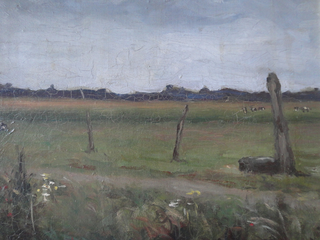 Hollandse school, olieverf op doek, polderlandschap met grazende koeien kopen? Bied vanaf 65!