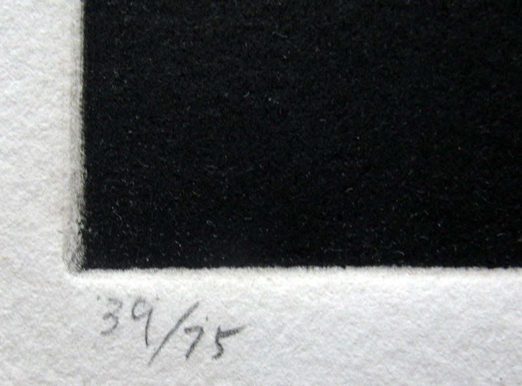 Tomoe Yokoi, "Kaki", mezzotint kopen? Bied vanaf 100!